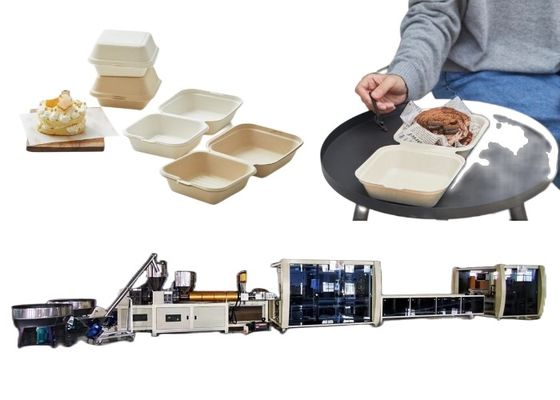 まめの機械類のハンバーガー箱ライン使い捨て可能な生物分解性の食品容器機械